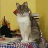 Отзыв от Ксения Малинина